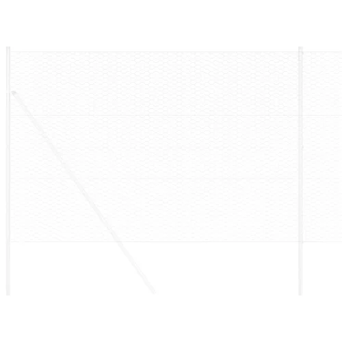  Hatszögletű Kerítés 1.6x50 m Galvanizált Acél