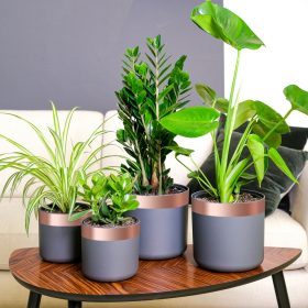    Réz szalag 6 pcs Réz 2000 x 5 cm Réz, akril irányító ragasztó