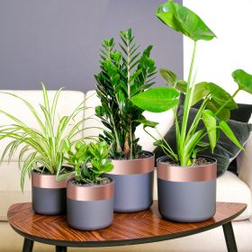    Réz szalag 6 pcs Réz 2000 x 5 cm Réz, akril irányító ragasztó