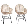  Étkezőszék 2 pcs Természetes 44 x 44 x 74 cm Rattan és Vas