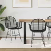  Étkezőszék 2 pcs Rattan és Vas Fekete 57 x 55 x 85 cm