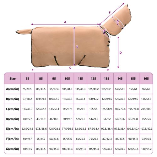  Ló Takaró Cappuccino 155 cm Poliészter