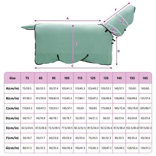  Ló Takaró Különleges zöld Poliészter