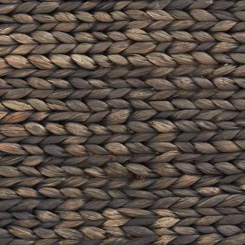  Karácsonyfakollekció Fekete 50 x 50 x 25 cm Vízi jácint