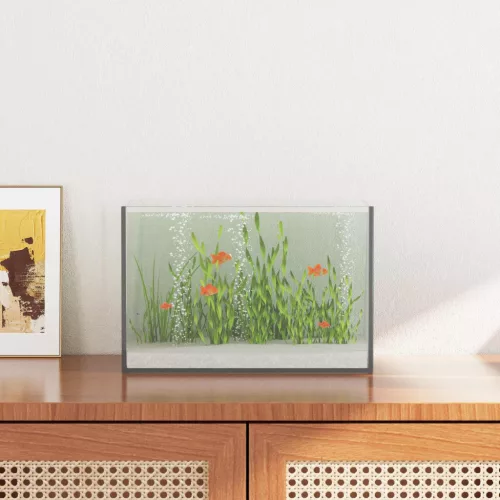  Akvárium tárolóval Fehér 30 x 20 x 20 cm Üveg