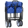  Összecsukható Kézi Kocsi Kék 94 x 53 x 99 cm Oxford Szövet