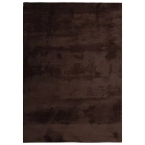  Területszőnyegek Négyszögletes HUARTE Barna 170 x 120 cm