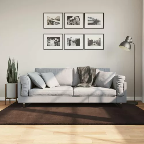  Területszőnyegek Négyszögletes HUARTE Barna 200 x 140 cm
