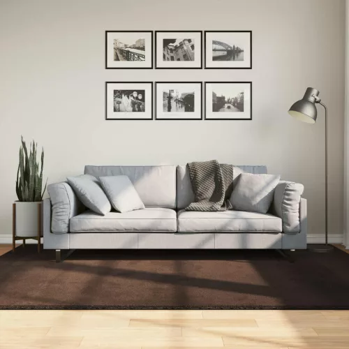  Területszőnyegek HUARTE Barna 230 x 160 cm Poliészter