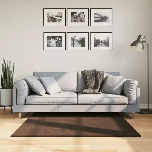  Területszőnyegek Négyzet HUARTE Barna 120 x 120 cm Poliészter