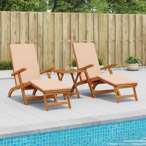  Függőágy és összecsukható napozóágy 2 pcs 55 x 146 x 91 cm