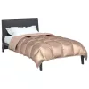 Téli takaró Arany 200 x 155 cm Satin és Mikroszálas