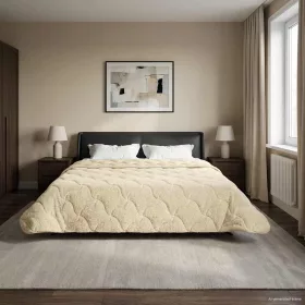    Téli takaró Krém 200 x 220 cm Mikroszálas és Teddy plüss