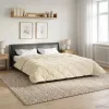  Téli takaró Krém 200 x 220 cm Mikroszálas és Teddy plüss