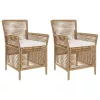  Kültéri szék párnával 2 pcs Beige és krém polirattan