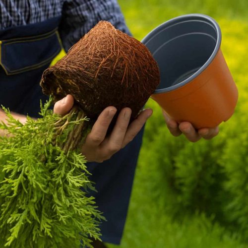  Virág Cserép 100 pcs Kerámia Ø 15 x 12.5 cm Műanyag