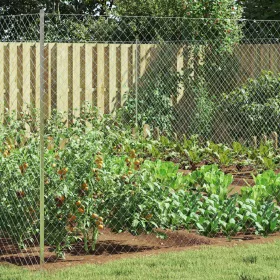  Láncszem Kerítés Horganyzott 2 x 10 m Üveg