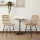 Étkezőszék 2 pcs Természetes 41 x 55 x 85 cm Rattan és acél