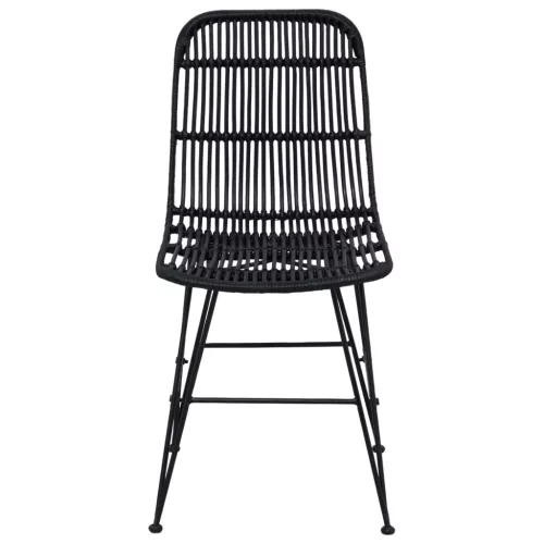  Étkezőszék 2 pcs Fekete 41 x 55 x 85 cm Rattan és acél