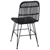  Étkezőszék 2 pcs Fekete 41 x 55 x 85 cm Rattan és acél