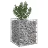  Gabion emelt ágy Ezüst 50 x 50 x 60 cm Horganyzott acél