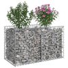  Gabion emelt ágy Ezüst 100 x 50 x 60 cm Horganyzott acél