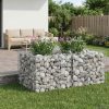  Gabion emelt ágy Ezüst 100 x 100 x 60 cm Horganyzott acél