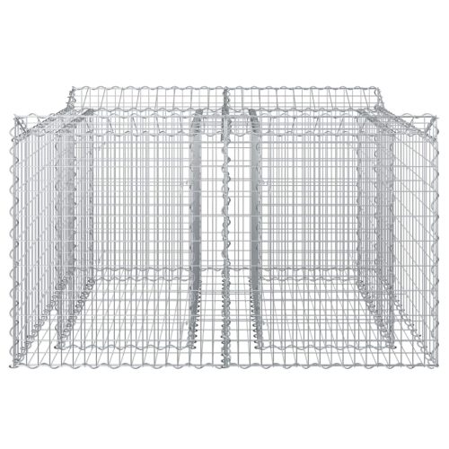  Gabion emelt ágy Ezüst 100 x 100 x 60 cm Horganyzott acél