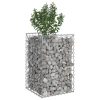  Gabion emelt ágy Ezüst 50 x 50 x 80 cm Horganyzott acél