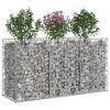  Gabion emelt ágy Ezüst 150 x 50 x 80 cm Horganyzott acél
