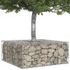  Gabion emelt ágy Ezüst 100 x 100 x 40 cm Horganyzott acél