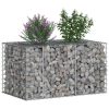  Gabion emelt ágy Ezüst 100 x 60 x 55 cm Horganyzott acél