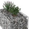  Gabion emelt ágy Ezüst 100 x 60 x 55 cm Horganyzott acél