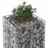  Gabion emelt ágy Ezüst 50 x 50 x 80 cm Horganyzott acél
