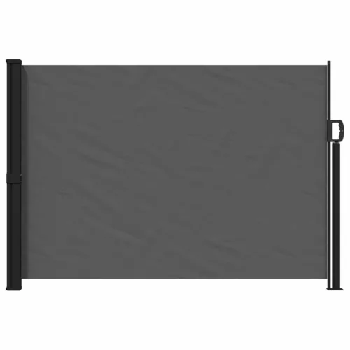  Húzható oldalsó napernyő Antracitszürke 300 x 170 cm Poliészter