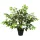  Mű Ficus Növény Zöld 73 x 16 x 60 cm Szövet és fa