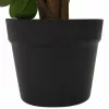  Mű Ficus Növény Zöld 73 x 16 x 60 cm Szövet és fa