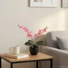  Mesterséges Orchidea Növény Rózsaszín 36 x 10 x 30 cm