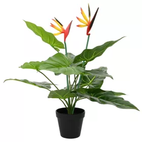    Mű Strelitzia Növény Zöld 65 x 13 x 55 cm Szövet, PE és PEVA