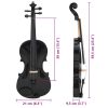  fekete teljes hegedűszett vonóval és álltartóval 4/4