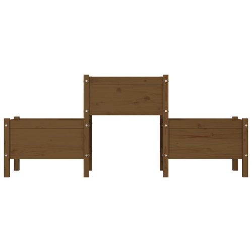  mézbarna tömör fenyő növénytartó 178,5 x 44 x 75 cm