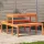  viaszbarna tömör fenyőfa piknik asztal 110 x 134 x 75 cm