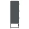  Highboard antracit 68x39x123 cm Acél