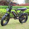 LoboGlorioso E-bike / E-kerékpár 1000W 48V S8