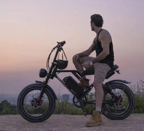 LoboGlorioso E-bike / E-kerékpár 1000W 48V S8