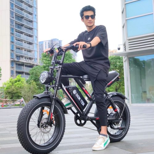 LoboGlorioso E-bike / E-kerékpár 1000W 48V S8