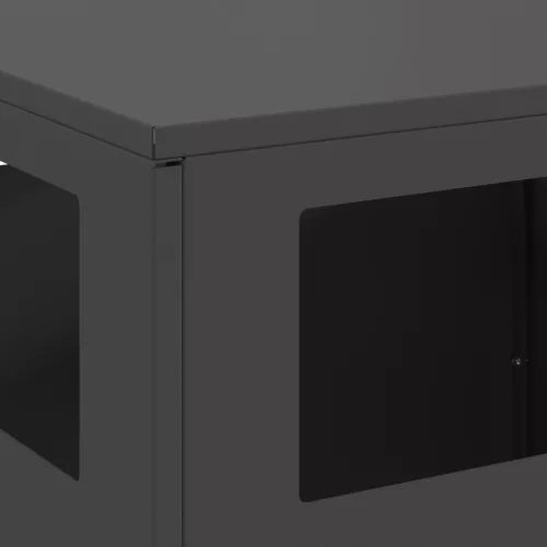  Tűzrakó hely Fekete 50x50x100 cm Acél