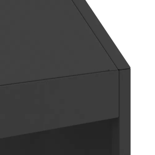  Tűzrakóhely Fekete 50x50x100 cm Acél