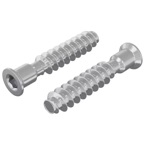  Fejzár csavar 2 pcs Ezüst M7 x 40 mm Acél