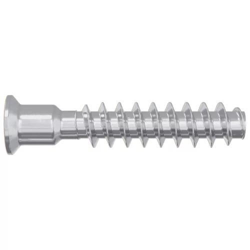  Fejzár csavar 2 pcs Ezüst M7 x 40 mm Acél